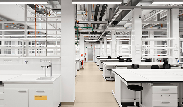 Berlin Institute for Medical Systems Biology
