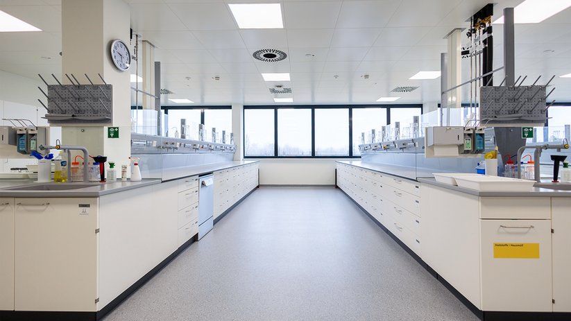 Laboratory work islands with windows