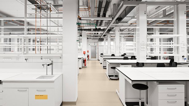 Berlin Institute for Medical Systems Biology