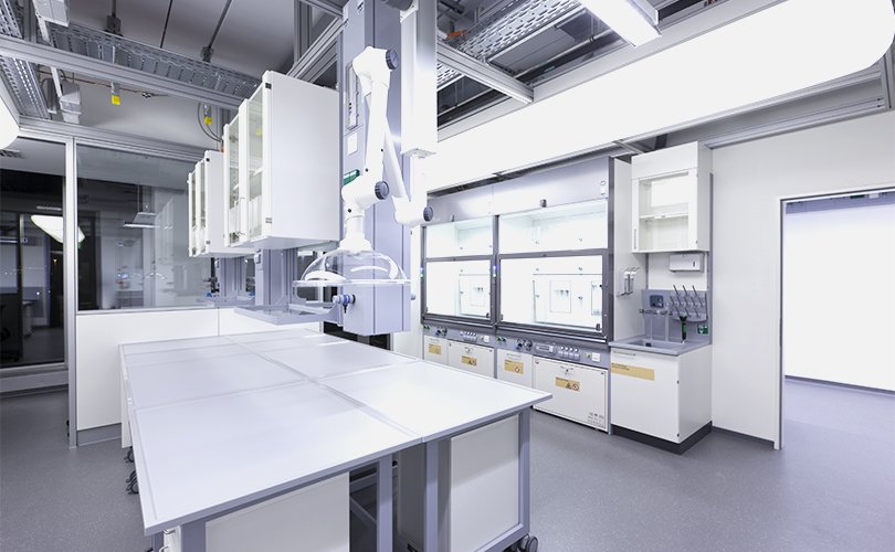 Wall and base cabinets in the laboratory