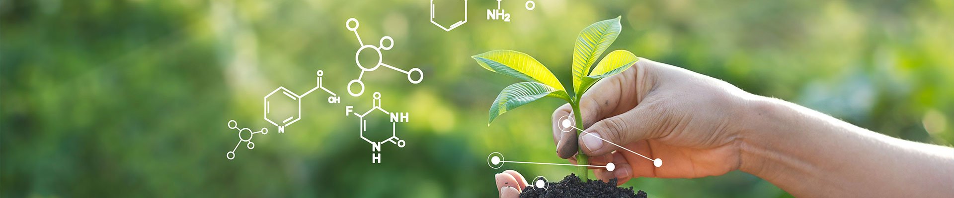 Green Lab Consulting