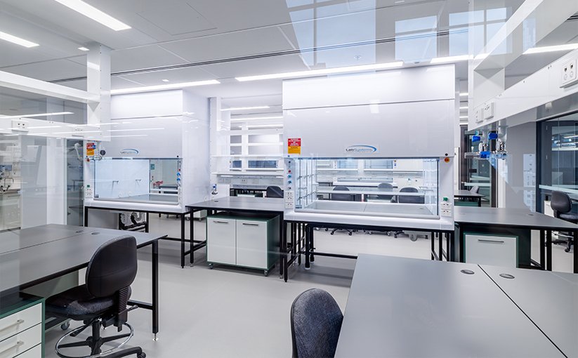 Laboratory with fume cupboard