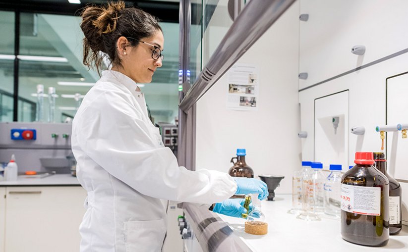 Lab technician working under a fume cupboard