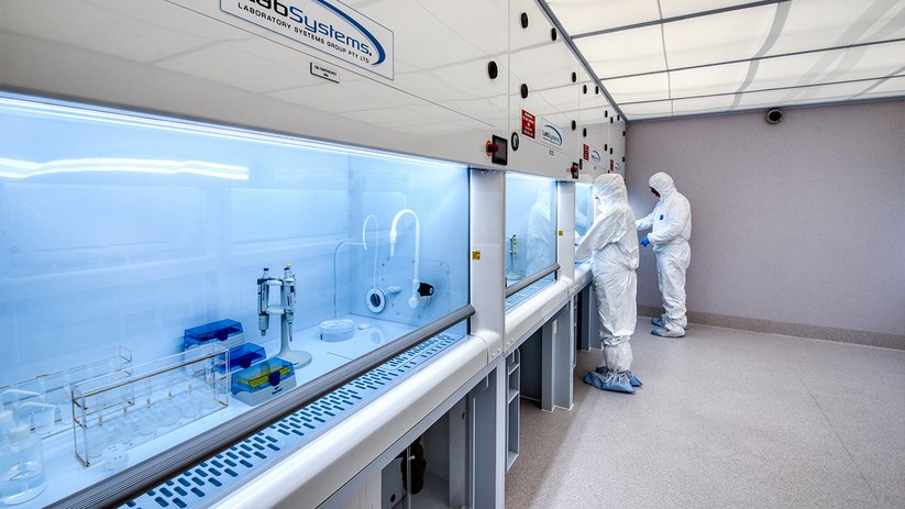 Fume hood area at the University of Otago with bright, controlled workspace.