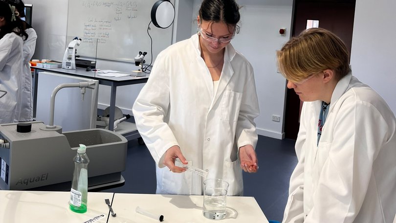 Two students experimenting