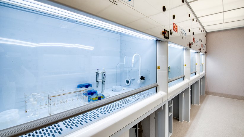 Ffume hood workspace at the University of Otago laboratory.