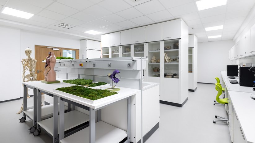 Lab with skeleton, moss, and workstations