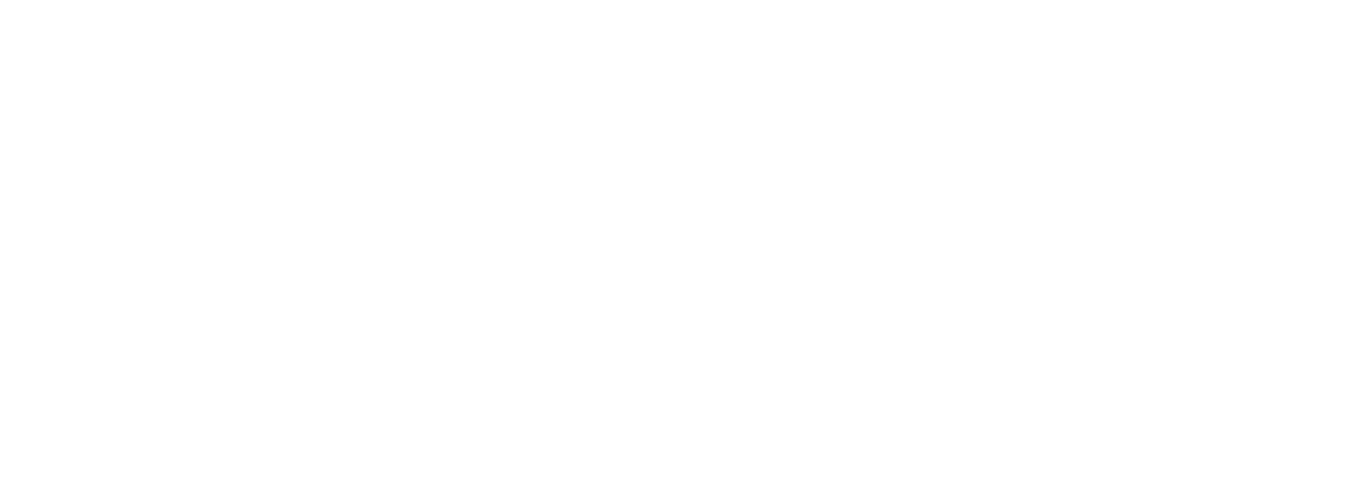 Waldner Logo