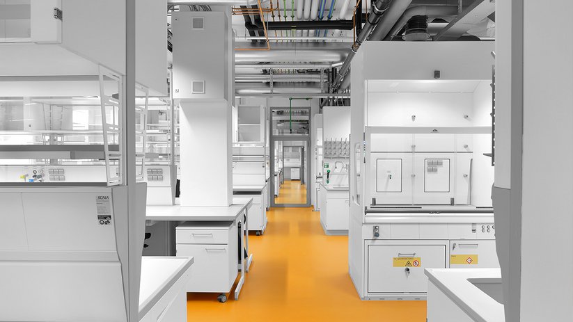 Fume cupboard in the laboratory