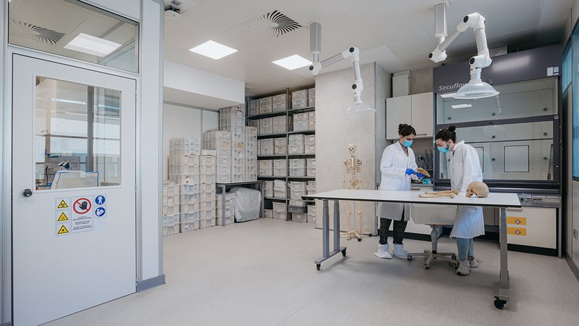 Two lab technicians in the lab