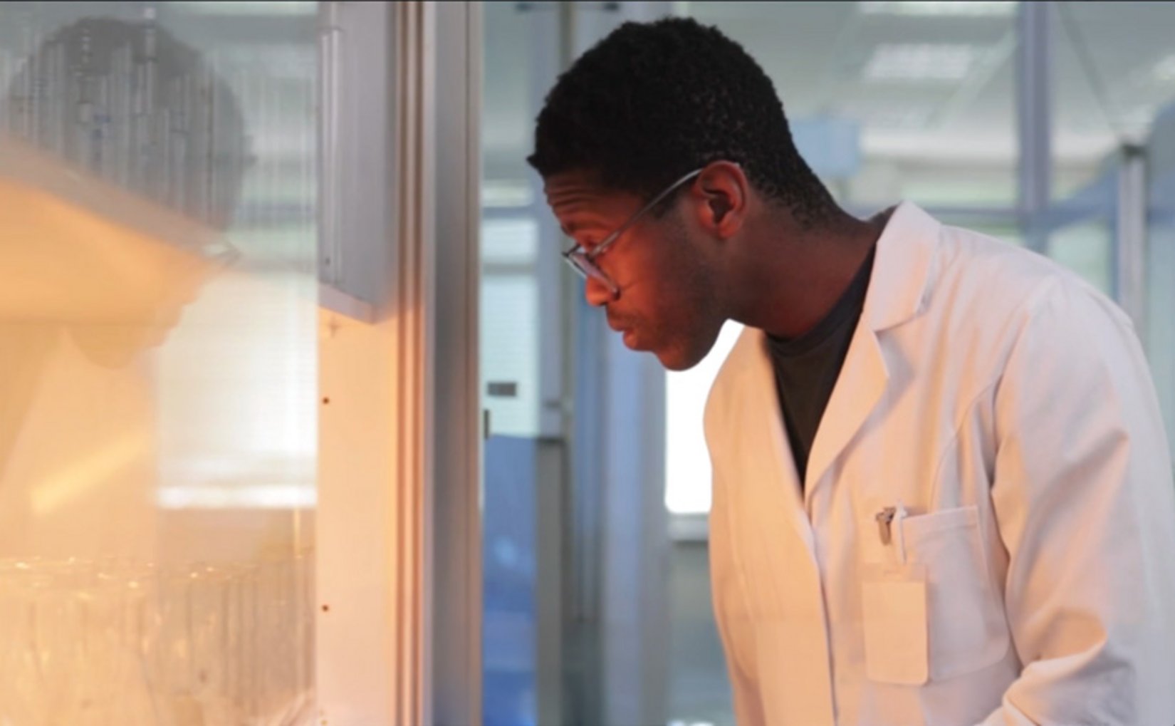 Person looking into a laboratory fume cupboard